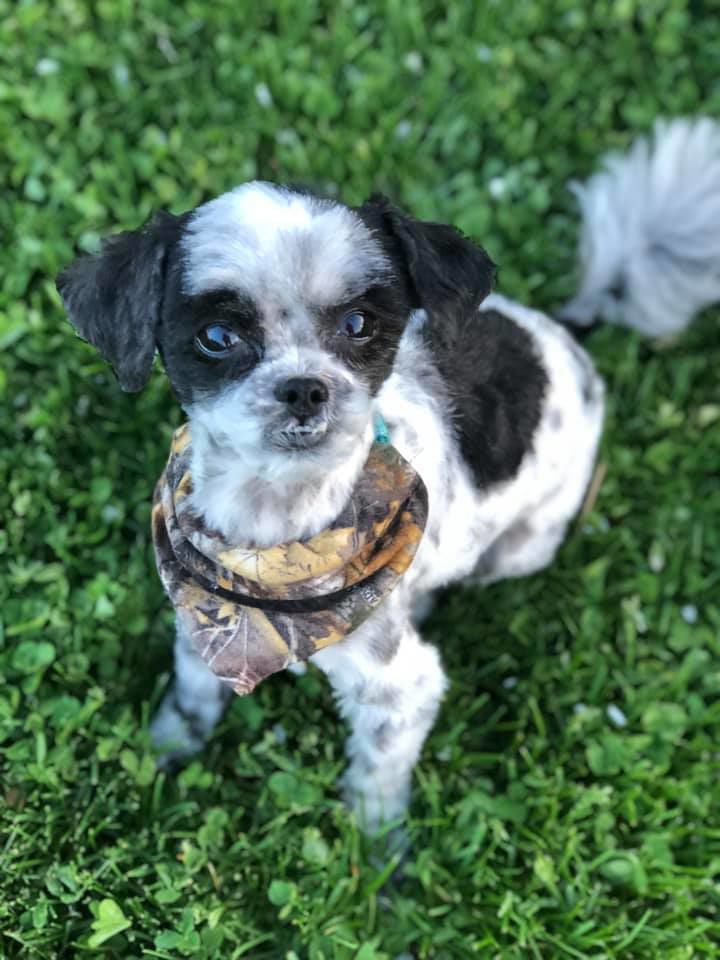 Mac